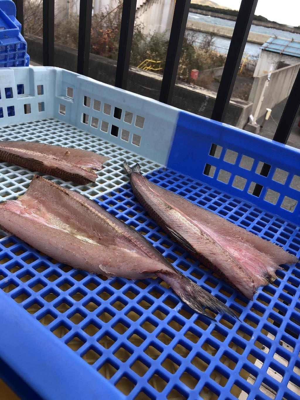 天乙商店からのお知らせ Infomation かまぼこ 太刀魚 白身魚のすり身をつかった天ぷら 製造 販売 和歌山県有田市辰ケ浜